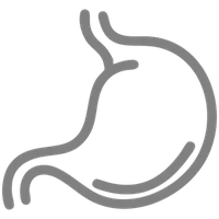 Digestion icon